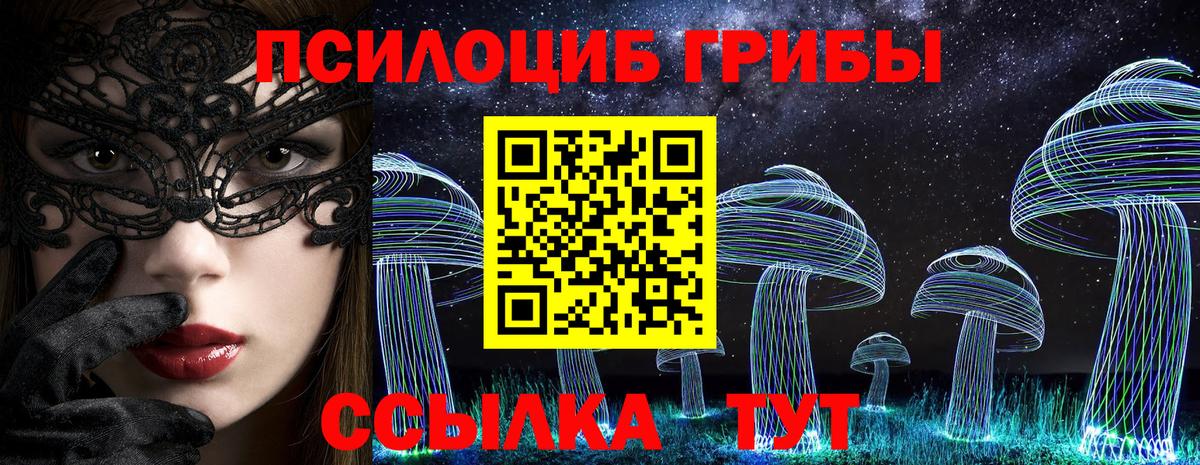 купить   Вход с VPN  Галлюциногенные грибы Magic Shrooms  Гудермес  Галлюциногенные грибы Magic Shrooms 